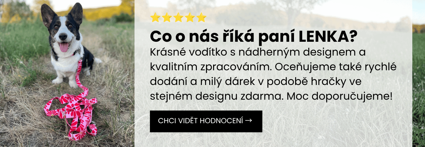 Hodnocení zákazníků Zamidog
